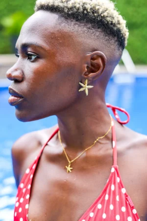 Gold Coated Star Earrings